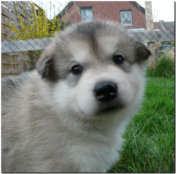 E Wurf 5 Woche 600.jpg